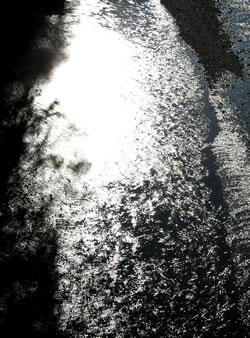 floating sunlight.jpg